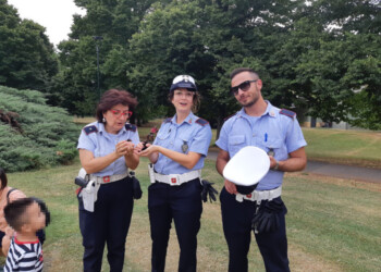 Vigili urbani salavano 3 piccoli paperi