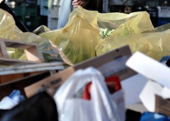 Agricoltura sostenibile e foreste contro cambio clima