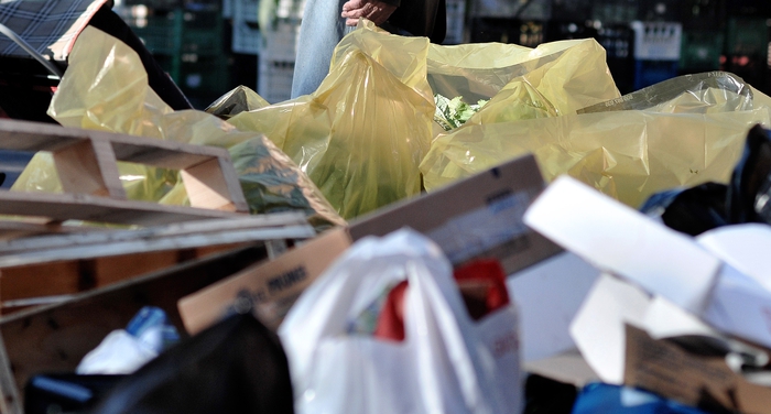 Agricoltura sostenibile e foreste contro cambio clima