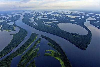 Amazzonia, lo speciale su National Geographic Wild
 