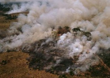 Ambiente: Amazzonia brucia, a rischio 20% ossigeno e 10% biodiversità mondiali  