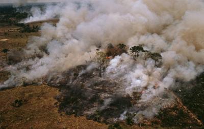 L'Amazzonia brucia, a rischio il 20% dell'ossigeno del Pianeta /Foto