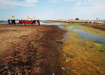 Ambiente: mari e laghi italiani, inquinato 1 punto su 3
 
