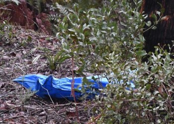 Cadavere in body bag, forse bracciante