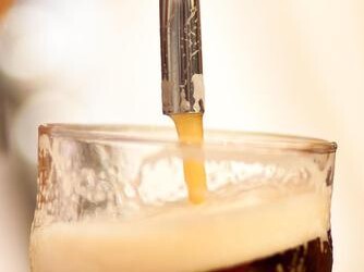 Campobasso, Festival birre artigianali