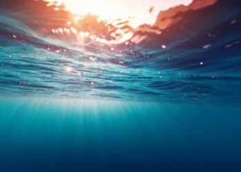 Clima: isole Pacifico chiedono azioni urgenti, ‘ne va della nostra sicurezza’
 