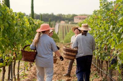 Da enogastronomia benefici per territori ma ancora poco sfruttata