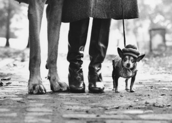 Elliott Erwitt. Family
