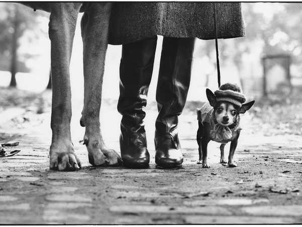 Elliott Erwitt, USA, New York City, 1974