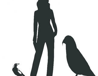 Ercole, l’antico pappagallo gigante alto un metro