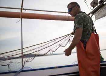 Fermo pesca in Adriatico da domani