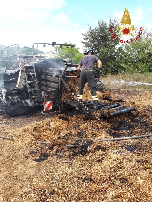 Fiamme su mezzo bruciano parte uliveto