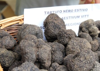 Fiera tartufo nero a S.Pietro Avellana
