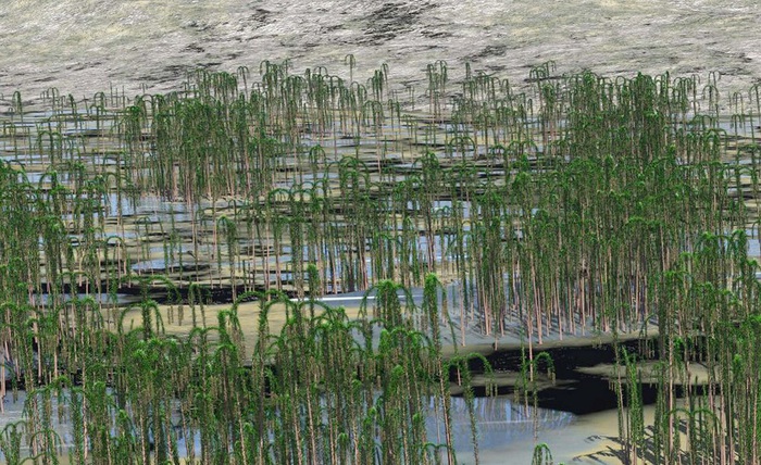 In Cina la più grande foresta fossile mai scoperta