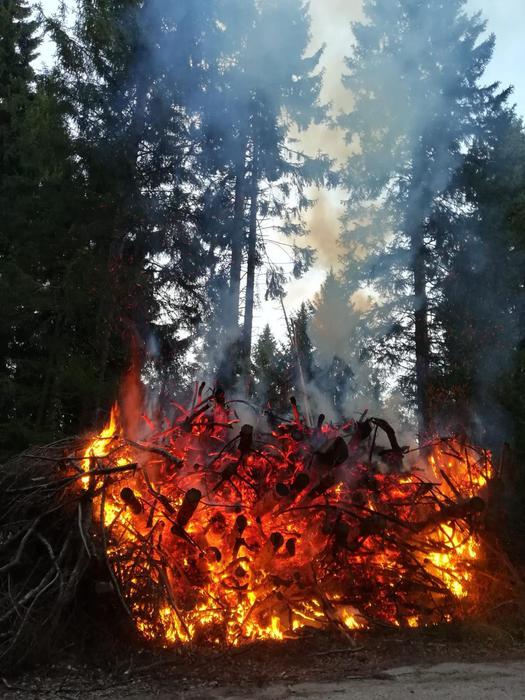 Incendio doloso in Panarotta, denunciato dalla Forestale