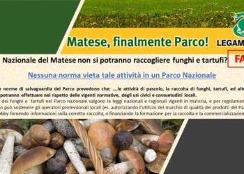 Legambiente, no fake news Parco Matese