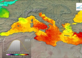 Ondate di calore nel Mediterraneo profondo, +2 gradi
