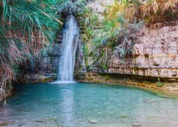 Parchi: Costa, ‘oggi firmo 5 nomine presidenti’ 