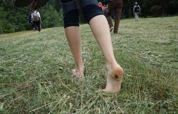 Parchi: la natura cura, arriva la ‘park therapy’
 