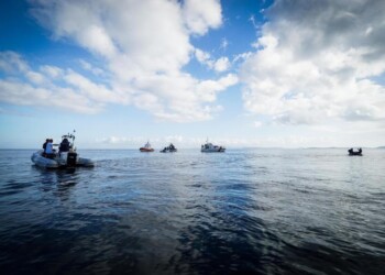Pescatori ripuliscono il mare