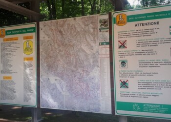 Pnalm, incontro con nuovo direttore