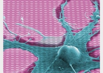 Pronto chip che imita il cervello umano