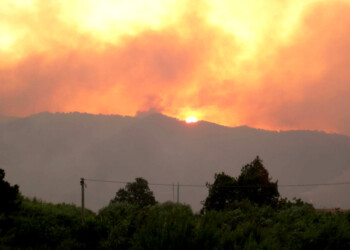 Roghi nel Palermitano e nel Trapanese
