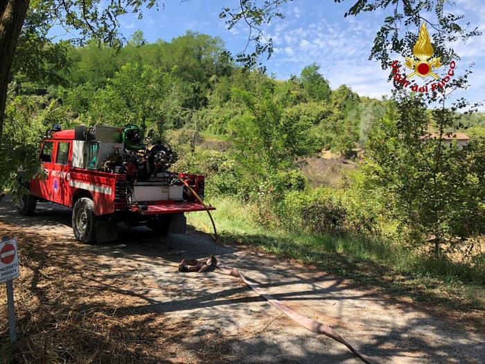 Rogo in frutteto dismesso,intervento Vvf