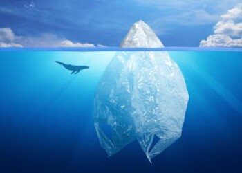 Roma: al Porto turistico il primo eco-festival plastic free della Capitale  