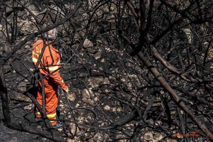 Sciopero Forestas: Regione rassicura