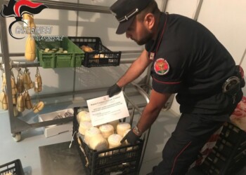 Sequestrati 60 kg di prodotti caseari