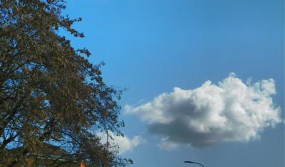 Smog: studio, in Italia negli ultimi 40 anni aria più pulita  