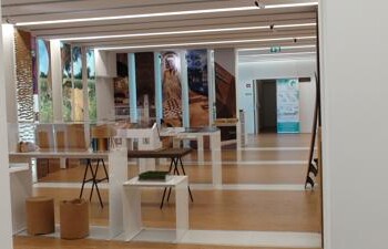 Sostenibilità: tappi in sughero diventano oggetti di design  