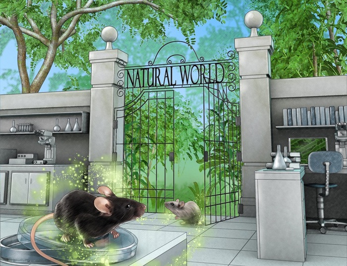 Topi ‘Tarzan’ mettono il turbo alla ricerca sulle malattie