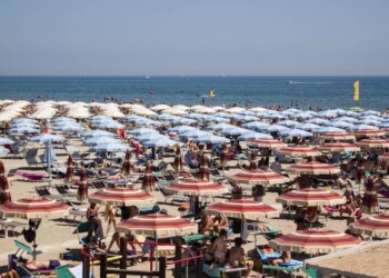 Trigone preso a bastonate nel Ravennate