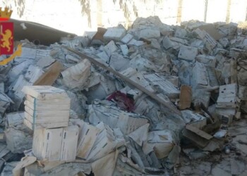 Trovati farmaci rubati per 830mila euro