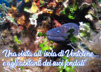 Cosa fare questo Weekend 3/4 Agosto con Discorveplaces