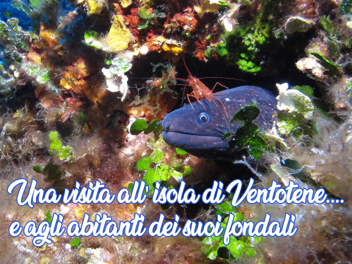 Cosa fare questo Weekend 3/4 Agosto con Discorveplaces