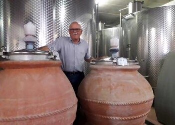 Vino: anfore sempre più di moda, a Montespertoli 1° test scientifico su effetti
 