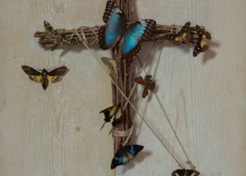 Tiziano Bonanni 1989 – 2019:dalla caduta del muro di Berlino all’intelligenza artificiale