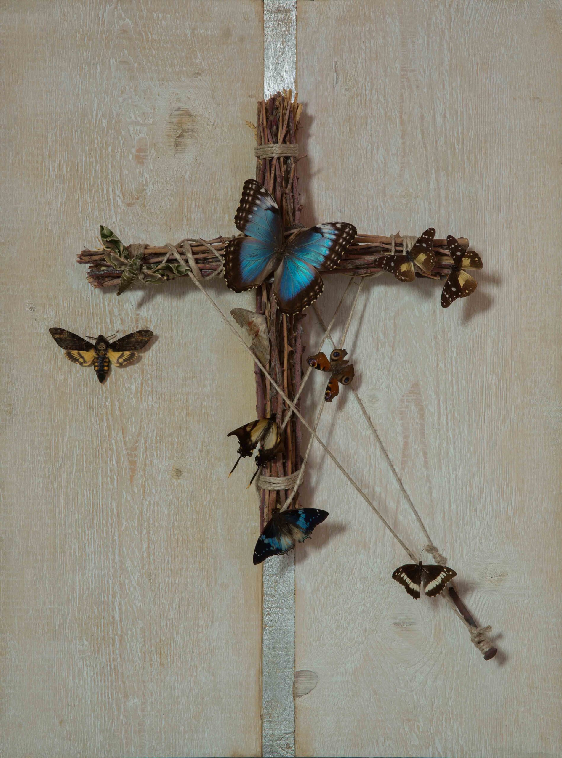 Tiziano Bonanni 1989 – 2019:dalla caduta del muro di Berlino all’intelligenza artificiale