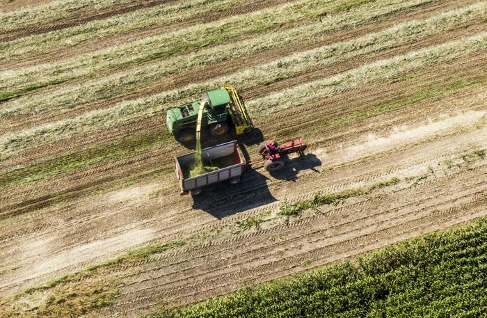 Bellanova, Ogm sono vietati e così rimarranno