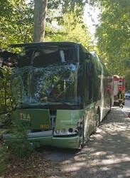 Bus contro albero: scuola ragazza ferita, siamo sotto choc