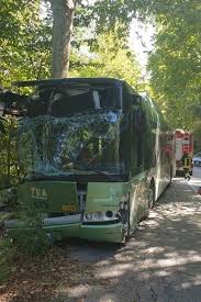 Bus contro albero: scuola ragazza ferita, siamo sotto choc
