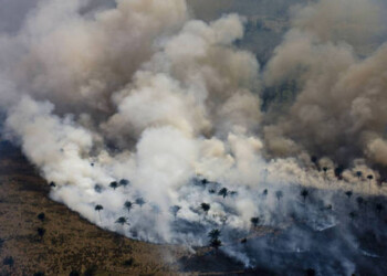 Capo indigeno Amazzonia per Nobel Pace
