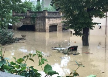 Chiesto processo per Nogarin