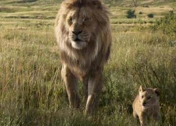 Cinema: ‘Il re leone’ primo incasso di sempre della Disney in Italia  