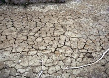 Clima: report Gca, adattamento porterebbe benefici per migliaia di miliardi
 