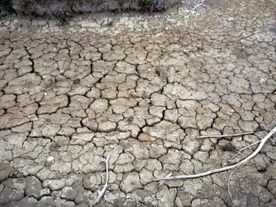 Report Gca: benefici per migliaia di miliardi da adattamento climatico