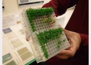 Da piante carnivore materiali per robot